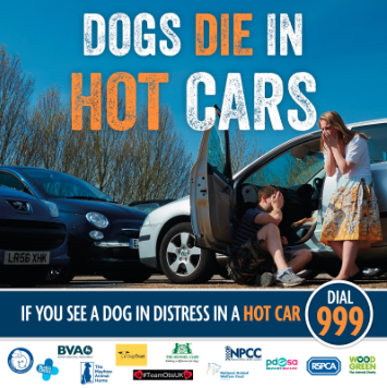 dogs cars die launched campaign warn groups